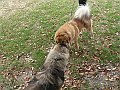 img 035